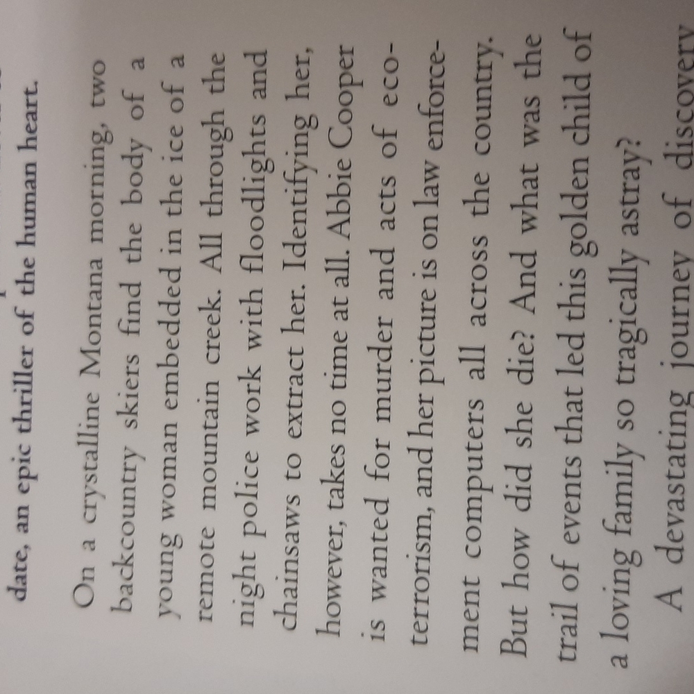 The divide by Nicholas Evans Author of the Horse Whisperer - Picture 4 of 6